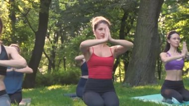 Beş sportif kadın eğitmen ile yoga dersi pratik Grup, yaz parkında egzersiz çayır açık egzersiz yapıyor. Takım çalışması, iyi ruh hali ve sağlıklı yaşam kavramı.
