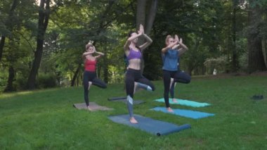 Parkta yoga veya pilates, sabah ları ayakta dururken farklı poz lar yapan karışık yaştaki kadın grubu. Takım çalışması, spor, iyi ruh hali ve sağlıklı yaşam kavramı. Gerçek kişi modelleri ile Seria fotoğraf.