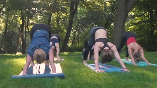 Yoga en el parque, grupo de mujeres de edad mixta haciendo pose mientras se pone el sol. cámara lenta — Vídeo de stock