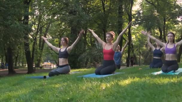 Йога в парку, Група жінок змішаного віку роблять позу в той час як захід сонця. повільний рух — стокове відео