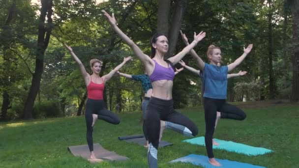 Yoga ou pilates no parque, grupo de mulheres de idade mista fazendo pose diferente enquanto em pé no horário da manhã. Trabalho em equipe, esporte, bom humor e conceito de vida saudável. Seria foto com pessoas reais modelos . — Vídeo de Stock