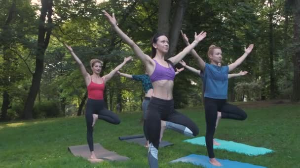 Yoga oder Pilates im Park, eine Gruppe altersgemischter Frauen in verschiedenen Posen, während sie morgens im Stehen stehen. Teamwork, Sport, gute Laune und gesundes Lebenskonzept. Seria-Foto mit echten Models. — Stockvideo