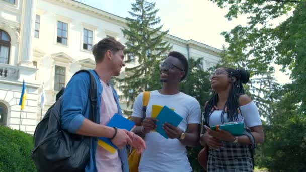 Многокультурная группа студентов колледжей — стоковое видео