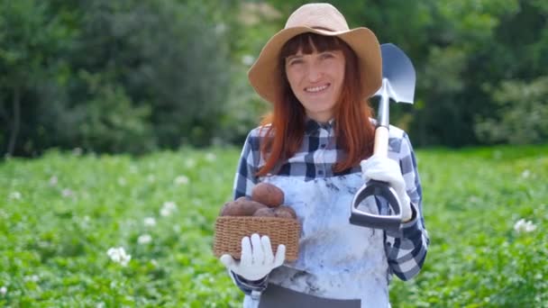 Девушка держит корзину свежей органической картошки . — стоковое видео
