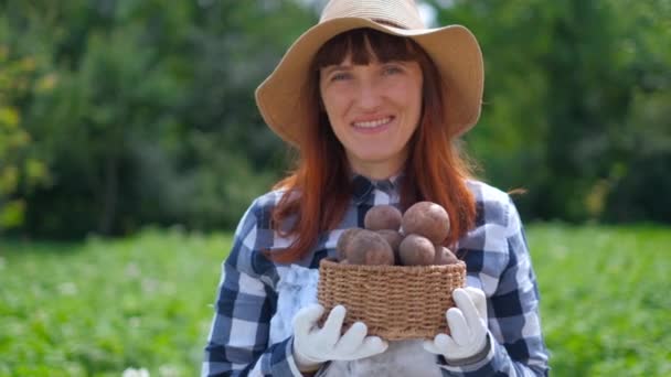 Girl holding a basket of fresh organic potatoes. — Stock Video