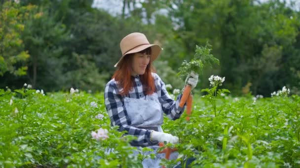 Bir sebze bahçesinde organik havuç ile Portre kadın. — Stok video