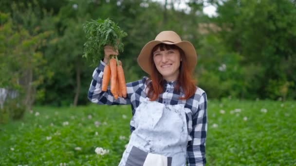 Lycklig kvinnlig jordbrukare var gräva och hålla gröda av morötter skördas från hans trädgårdslandet. Traditioner ekologiska Nutrition, Vegetarisk, hälsosam kost, respekt för naturen. — Stockvideo