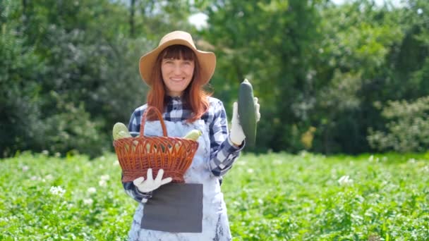 Porträt eines Mädchens, das auf einer Bio-Plantage frischen Kürbis erntet. — Stockvideo