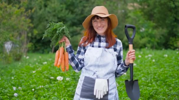 Mutlu kadın çiftçi kazma ve havuç onun bahçe arsa hasat mahsul tutuyordu. Ekolojik beslenme gelenekleri, vejetaryen, sağlıklı beslenme, doğaya saygı. — Stok video
