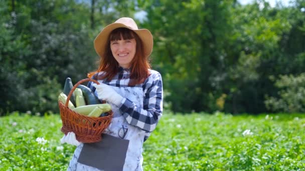 Portret van een meisje dat verse pompoen op biologische plantage oogst. — Stockvideo