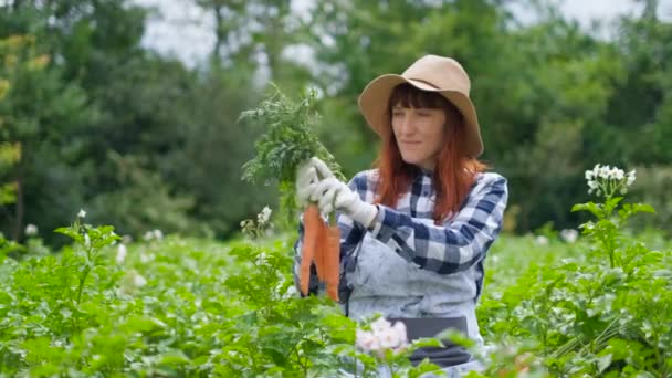 Porträt einer Frau mit Bio-Karotten im Gemüsegarten.