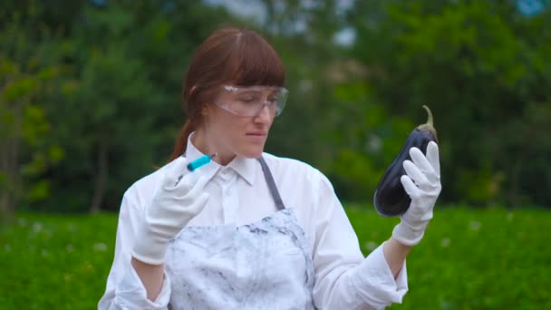 Un scientifique spécialisé dans les OGM injecte du liquide de la seringue dans des courgettes - concept alimentaire génétiquement modifié — Video