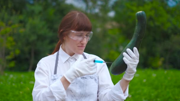 Un scientifique spécialisé dans les OGM injecte du liquide de la seringue dans des courgettes - concept alimentaire génétiquement modifié — Video