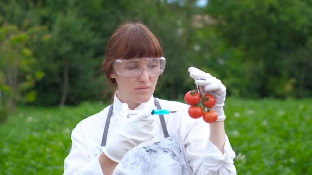 Woman biologist scientist in a white coat and rubber gloves. Insert drugs with a syringe into a red tomato. GMO concept and food modification. — Stock Video