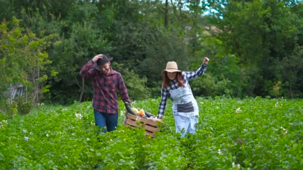 Happy Farmer houdt verse biologische groenten in een houten kist op de achtergrond van een moestuin — Stockvideo