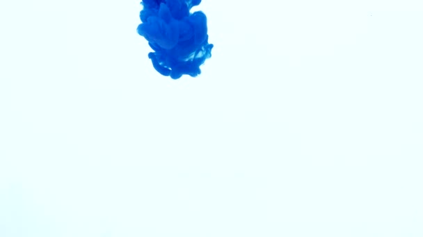 Blauwe inkt in water. Creatieve slow-motion. Op een witte achtergrond. — Stockvideo