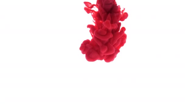 Tinta de tinta de cor vermelha cai na água câmera lenta — Vídeo de Stock
