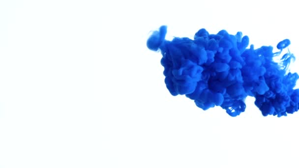 Blue color paint ink drops in water slow motion video with copy space. Inky cloud swirling flowing underwater. Abstract isolated smoke explosion — Stock Video