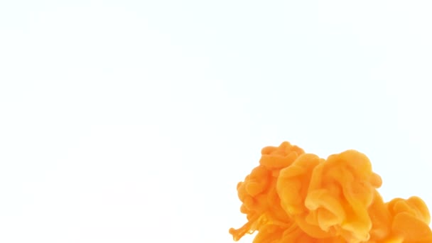 Oranje inkt in water. Creatieve slow-motion. Op een witte achtergrond. — Stockvideo
