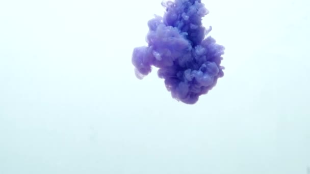 Inchiostro viola che reagisce in acqua creando uno sfondo astratto . — Video Stock