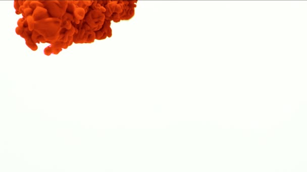 Rote Tinte auf wasserweißem Hintergrund. Zeitlupe — Stockvideo