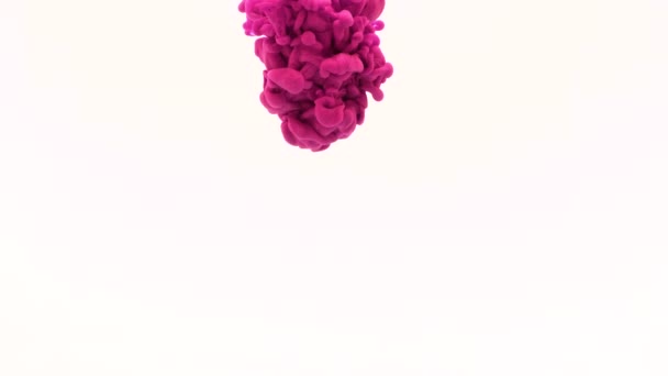 Tinta de lilás na água. Movimento lento criativo. Em um fundo branco — Vídeo de Stock