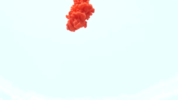 Red ink in water, white background. slow motion — Stock Video