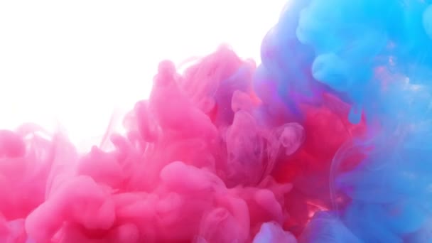 Red and blue paint forming thick, inky pink, blue and purple clouds in clear water against a white background,
