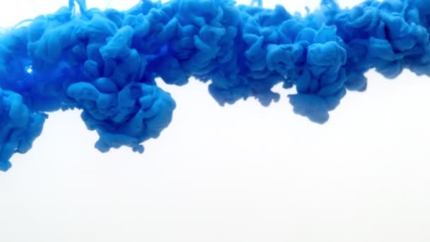 Blauwe inktkleur druppel in water geïsoleerd op witte achtergrond — Stockvideo