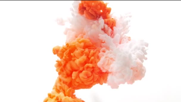 Nube de tinta anaranjada y blanca aislada sobre blanco — Vídeo de stock