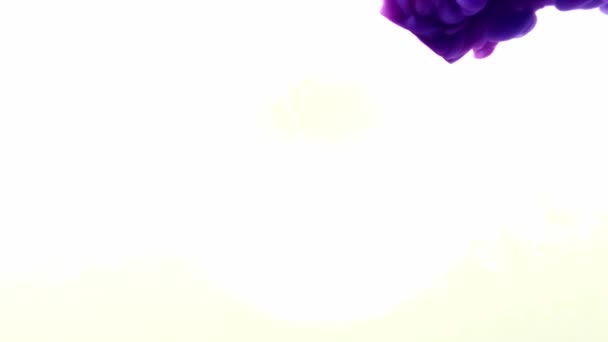 Tourbillon d'eau d'encre. Origine de l'univers. Mouvement de cercle violet bleu . — Video
