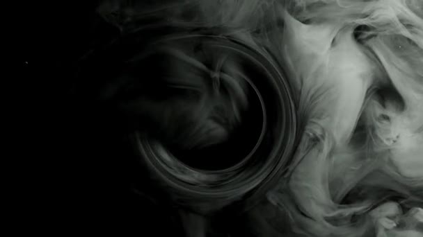 Красивая черно-белая акварель . — стоковое видео