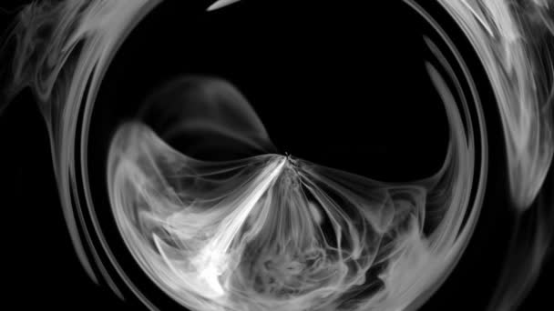 Красивая черно-белая акварель . — стоковое видео