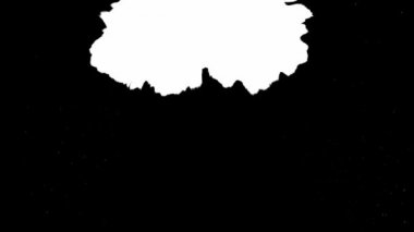 Çiçek mürekkebi. Güzel beyaz suluboya mürekkep siyah arkaplana geçiş yapıyor