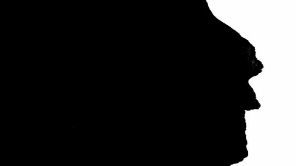 Gocce di inchiostro Transizione su sfondo nero 4k Filmati di inchiostro Transizione Gocce di inchiostro bianco Caduta su sfondo nero. Motion pack 05 — Video Stock