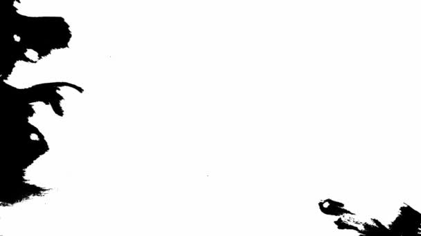 Inkt druppels overgang op zwarte achtergrond 4k Beeld Inkt Beeld Overgang Witte inkt druppels vallen op zwarte achtergrond. Motiepakket 06 — Stockvideo