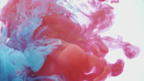 Blue and red ink mixing in water on white background, Slow motion. — Stock Video