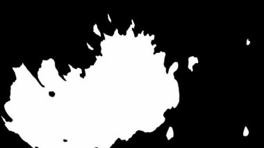 Çiçek mürekkebi. Güzel beyaz suluboya mürekkep siyah arkaplana geçiş yapıyor.