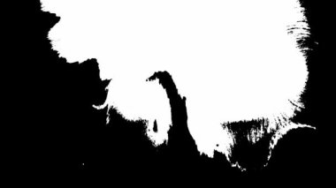 Çiçek mürekkebi. Güzel beyaz suluboya mürekkep siyah arkaplana geçiş yapıyor.