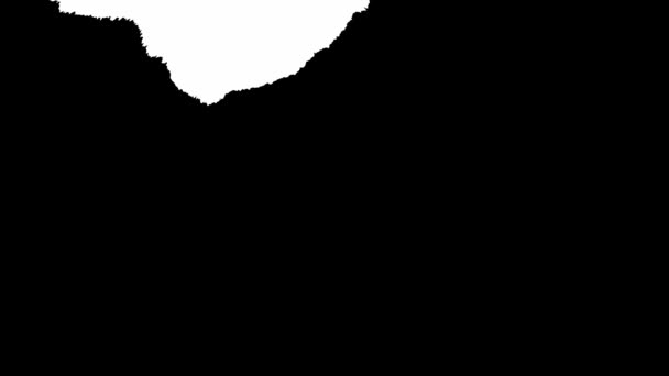 Цветущие чернила. Красивый белый акварель капли чернил переход на черный фон . — стоковое видео