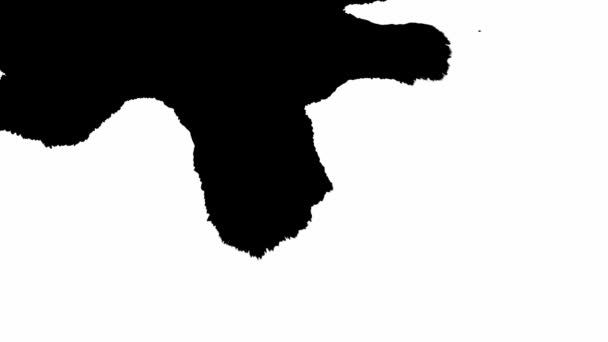 Inktbloei. Mooie zwarte aquarel inkt druppels overgang op een witte achtergrond. — Stockvideo