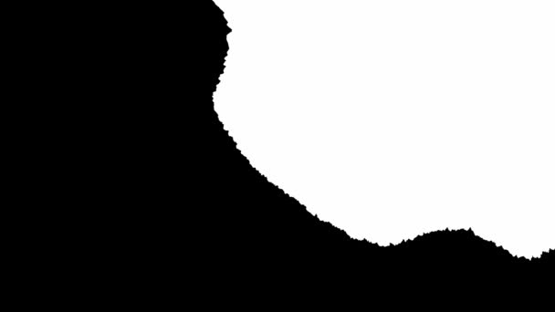 Μελάνι Μπλουμ. Όμορφη λευκή μελάνη νερομπογιάς πέφτει μετάβαση σε μαύρο φόντο. — Αρχείο Βίντεο