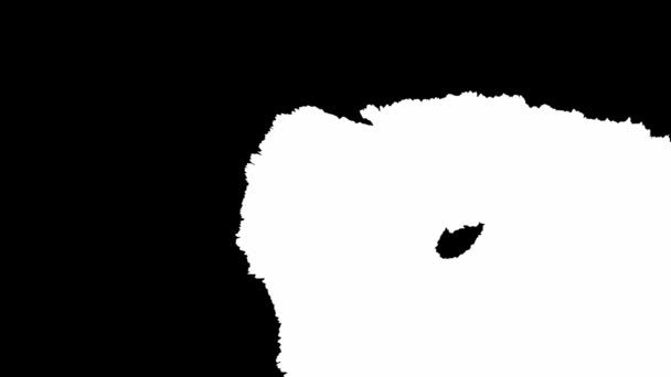 Το μελάνι ανθίζει. Όμορφη μαύρη υδατογραφία μελάνι σταγόνες μετάβαση — Αρχείο Βίντεο