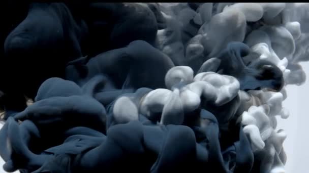 Witte kleur verf inkt druppels in water slow motion art achtergrond met kopieerruimte. Stinkende wolk wervelend onder water. — Stockvideo