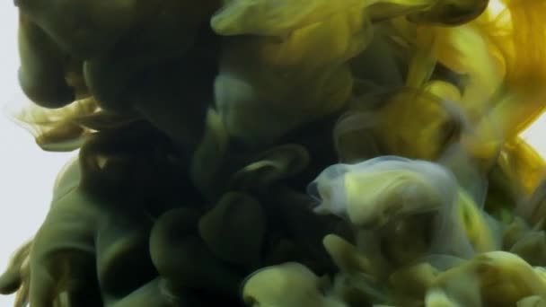 Le vernici gialle nere mescolano l'acqua. sfondo bianco — Video Stock