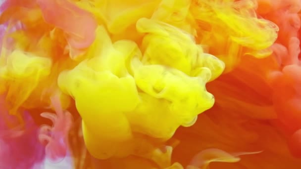 Las pinturas rojas amarillas mezclan el agua. fondo blanco — Vídeos de Stock