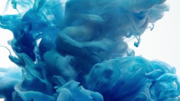 Blaue Tinte Wasserexplosion. Aquarellfarbe in Wasser auf weißem Hintergrund. — Stockvideo