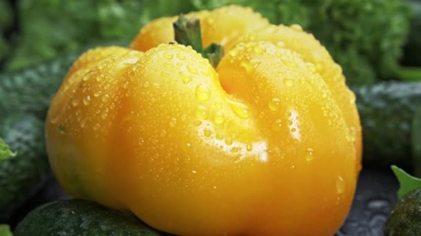 Large yellow bell pepper on a green background. — Stock Video