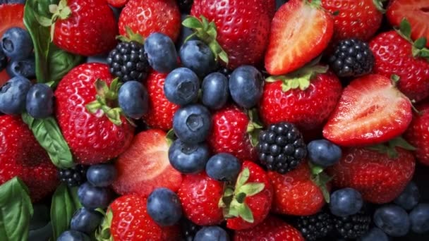 Wild forest berries on black background, collection of strawberry, blueberry and blackberry. — Stock Video