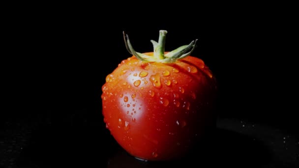 Червоний свіжий помідор при обертанні на чорному тлі — стокове відео